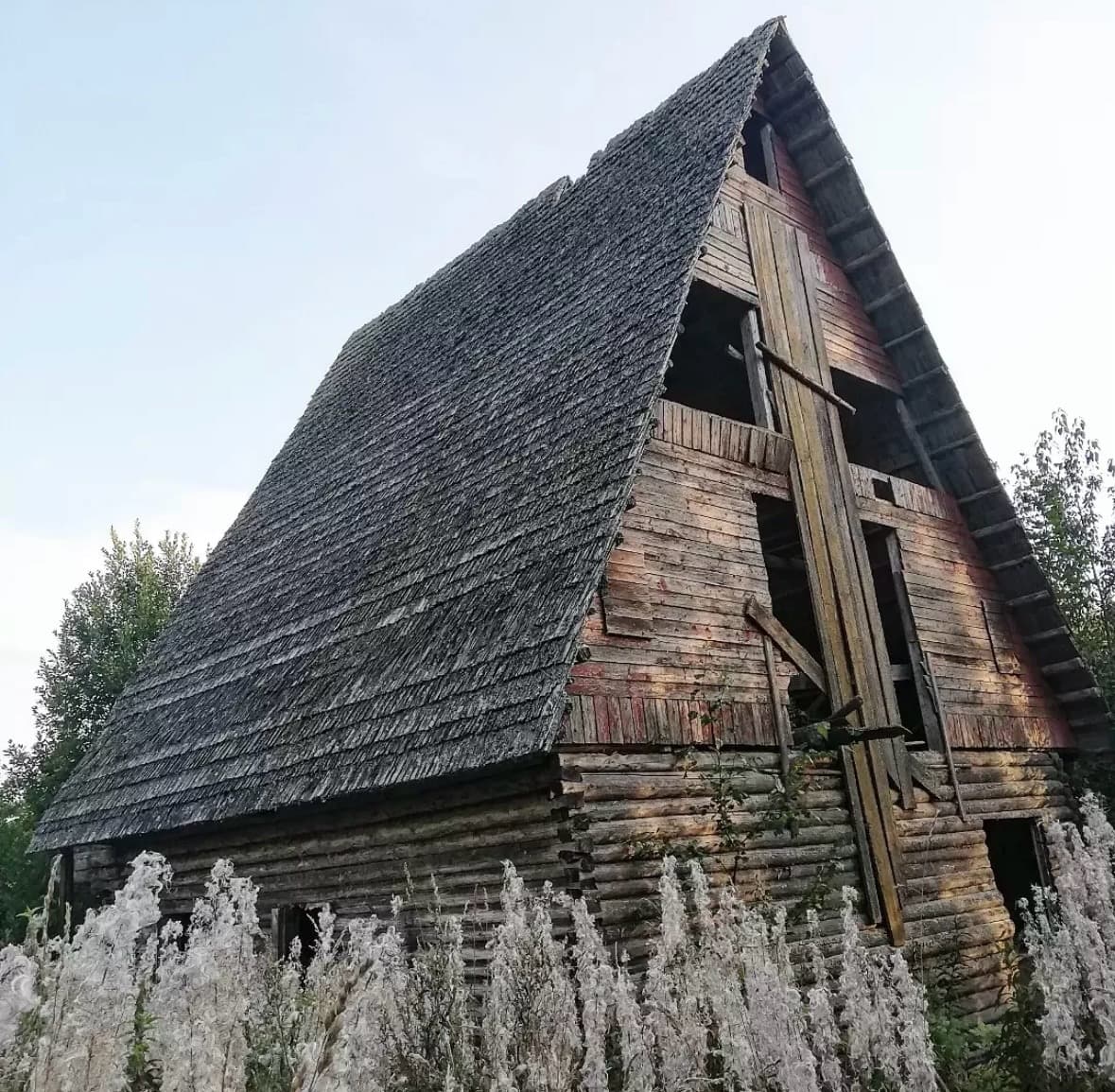 Двускатная крыша в лесу